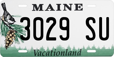 ME license plate 3029SU