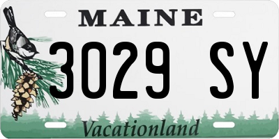 ME license plate 3029SY