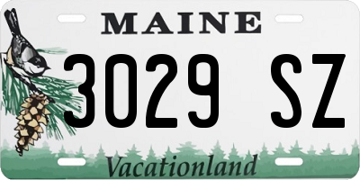 ME license plate 3029SZ