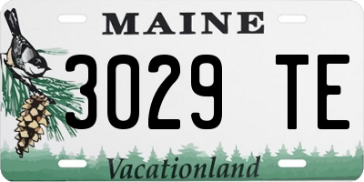 ME license plate 3029TE