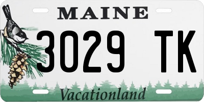 ME license plate 3029TK