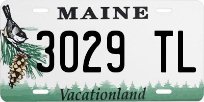 ME license plate 3029TL
