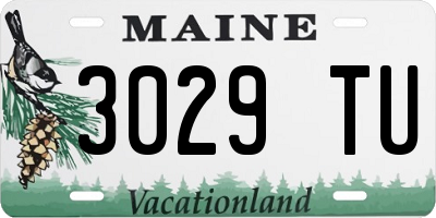 ME license plate 3029TU