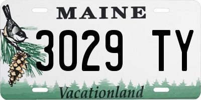 ME license plate 3029TY