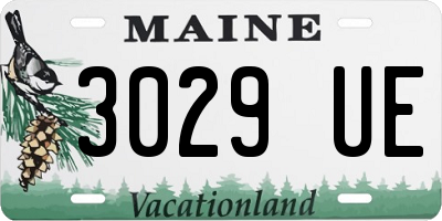 ME license plate 3029UE