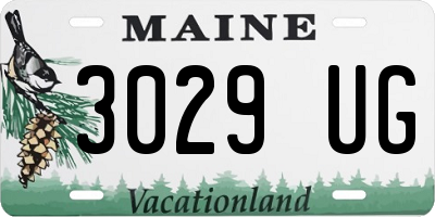 ME license plate 3029UG
