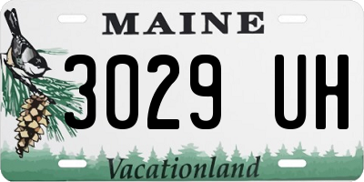 ME license plate 3029UH