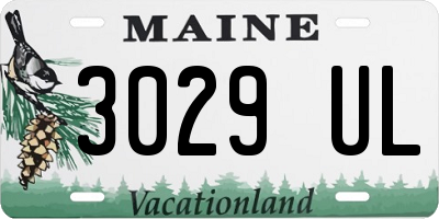 ME license plate 3029UL