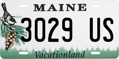 ME license plate 3029US