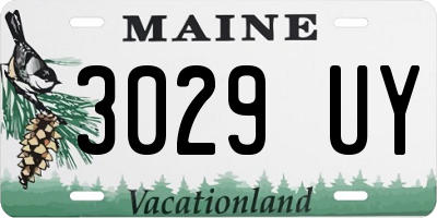 ME license plate 3029UY