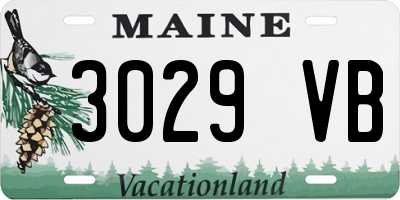 ME license plate 3029VB