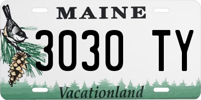 ME license plate 3030TY