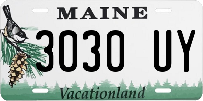 ME license plate 3030UY