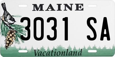 ME license plate 3031SA