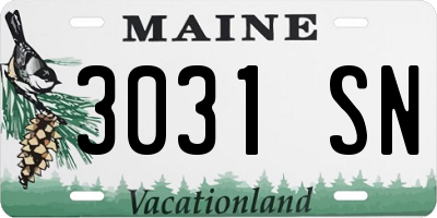 ME license plate 3031SN