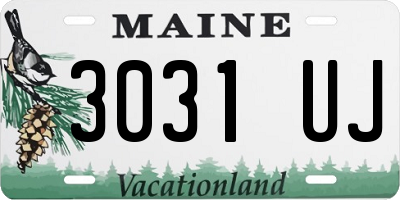 ME license plate 3031UJ