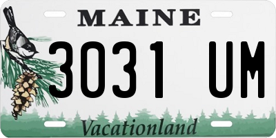 ME license plate 3031UM