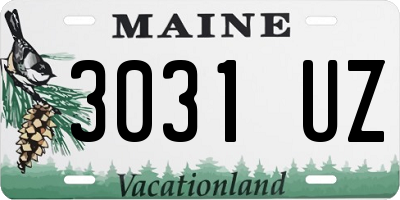 ME license plate 3031UZ