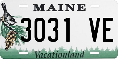 ME license plate 3031VE