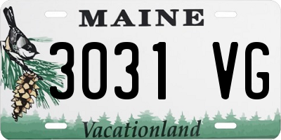 ME license plate 3031VG