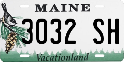 ME license plate 3032SH