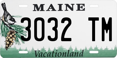 ME license plate 3032TM