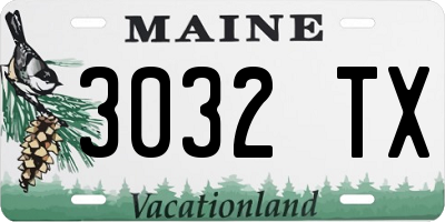 ME license plate 3032TX