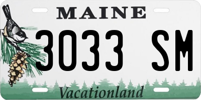 ME license plate 3033SM