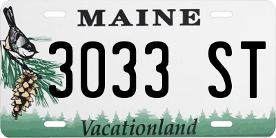 ME license plate 3033ST