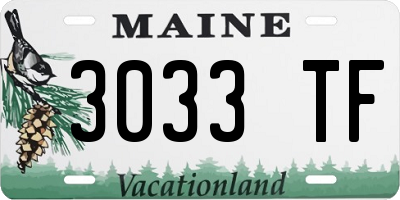 ME license plate 3033TF