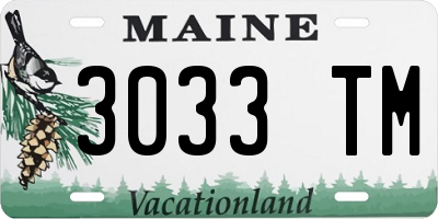ME license plate 3033TM