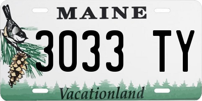 ME license plate 3033TY