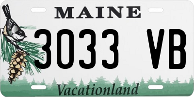 ME license plate 3033VB