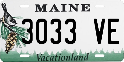 ME license plate 3033VE