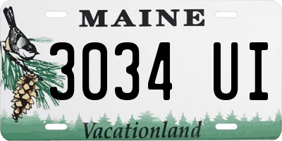 ME license plate 3034UI