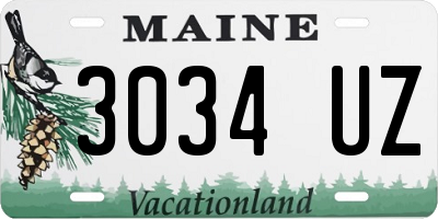 ME license plate 3034UZ