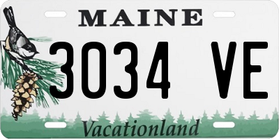 ME license plate 3034VE