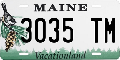 ME license plate 3035TM