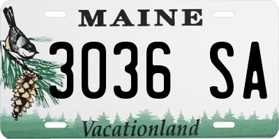 ME license plate 3036SA