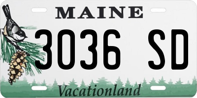 ME license plate 3036SD