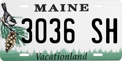 ME license plate 3036SH