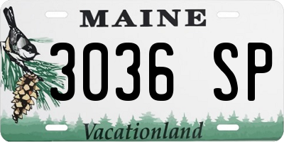 ME license plate 3036SP