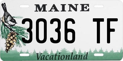 ME license plate 3036TF
