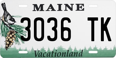 ME license plate 3036TK