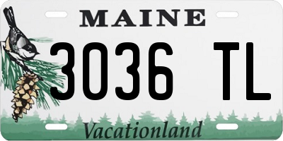 ME license plate 3036TL
