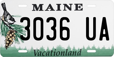 ME license plate 3036UA