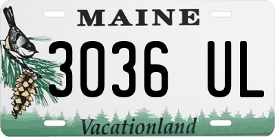 ME license plate 3036UL
