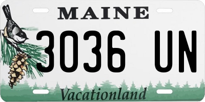 ME license plate 3036UN