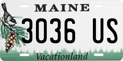 ME license plate 3036US