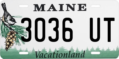 ME license plate 3036UT